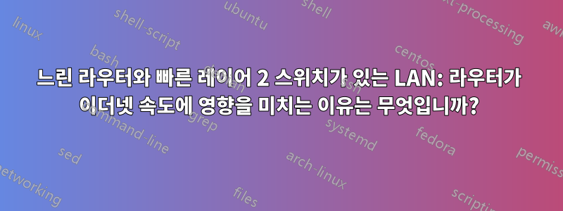 느린 라우터와 빠른 레이어 2 스위치가 있는 LAN: 라우터가 이더넷 속도에 영향을 미치는 이유는 무엇입니까?