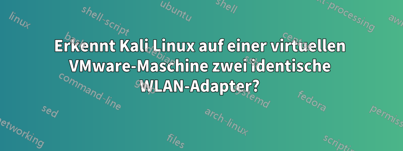 Erkennt Kali Linux auf einer virtuellen VMware-Maschine zwei identische WLAN-Adapter?