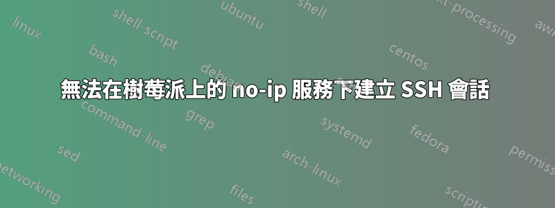 無法在樹莓派上的 no-ip 服務下建立 SSH 會話