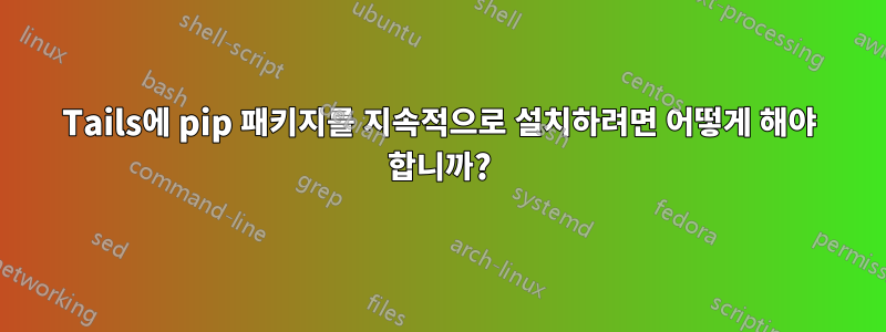 Tails에 pip 패키지를 지속적으로 설치하려면 어떻게 해야 합니까?