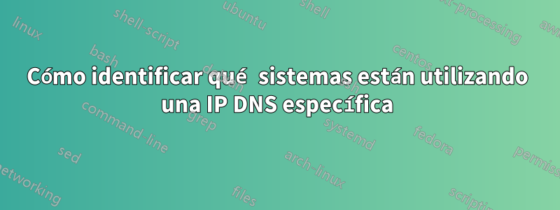 Cómo identificar qué sistemas están utilizando una IP DNS específica