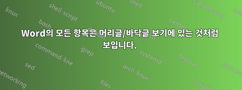 Word의 모든 항목은 머리글/바닥글 보기에 있는 것처럼 보입니다.