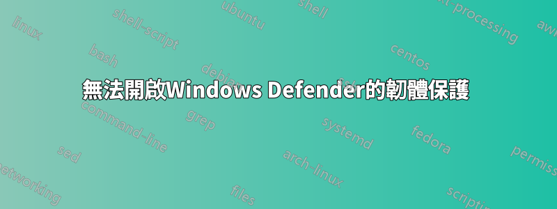 無法開啟Windows Defender的韌體保護