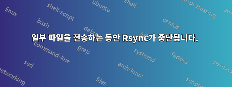 일부 파일을 전송하는 동안 Rsync가 중단됩니다.