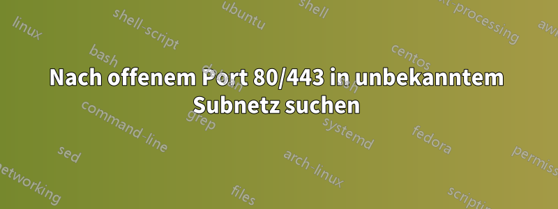 Nach offenem Port 80/443 in unbekanntem Subnetz suchen