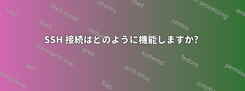 SSH 接続はどのように機能しますか?