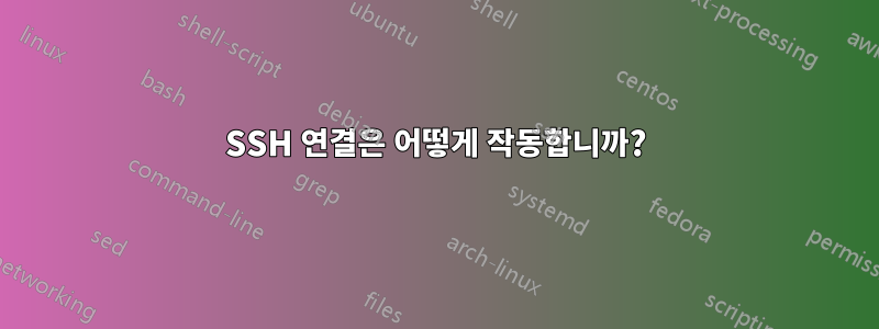 SSH 연결은 어떻게 작동합니까?