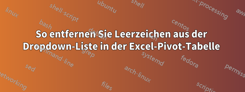 So entfernen Sie Leerzeichen aus der Dropdown-Liste in der Excel-Pivot-Tabelle