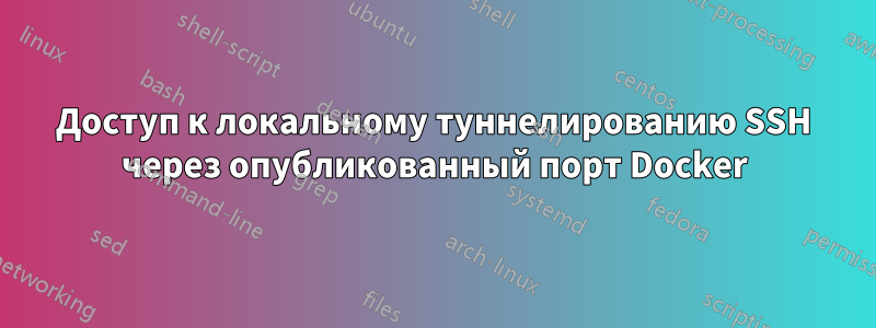 Доступ к локальному туннелированию SSH через опубликованный порт Docker