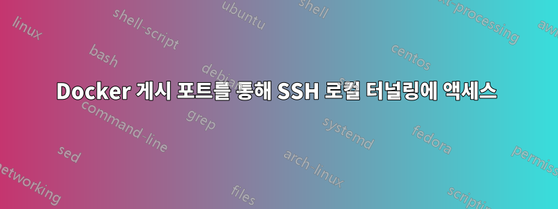 Docker 게시 포트를 통해 SSH 로컬 터널링에 액세스