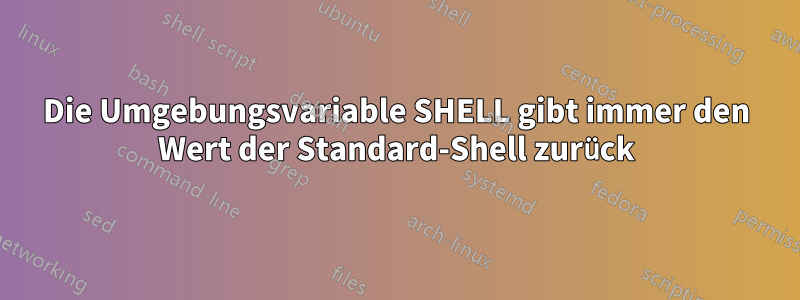 Die Umgebungsvariable SHELL gibt immer den Wert der Standard-Shell zurück