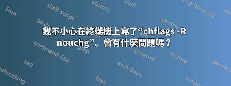 我不小心在終端機上寫了“chflags -R nouchg”。會有什麼問題嗎？