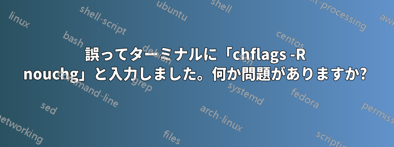 誤ってターミナルに「chflags -R nouchg」と入力しました。何か問題がありますか?