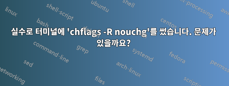 실수로 터미널에 'chflags -R nouchg'를 썼습니다. 문제가 있을까요?