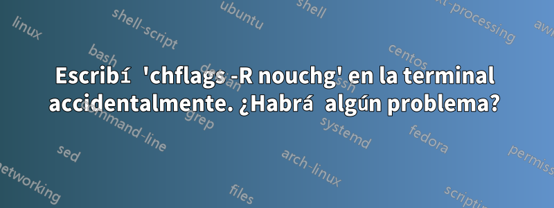 Escribí 'chflags -R nouchg' en la terminal accidentalmente. ¿Habrá algún problema?