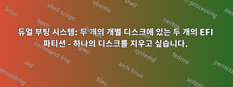 듀얼 부팅 시스템: 두 개의 개별 디스크에 있는 두 개의 EFI 파티션 - 하나의 디스크를 지우고 싶습니다.