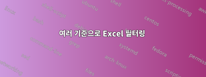 여러 기준으로 Excel 필터링