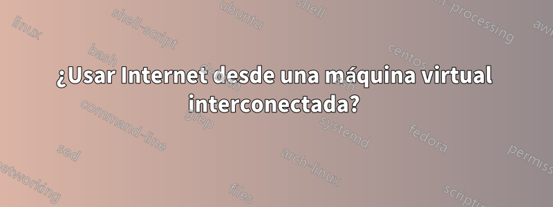 ¿Usar Internet desde una máquina virtual interconectada?