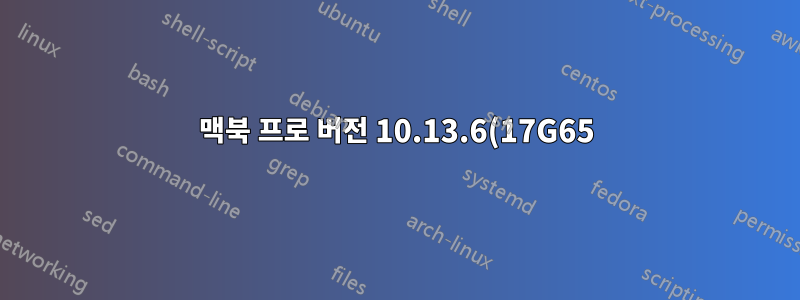 맥북 프로 버전 10.13.6(17G65)