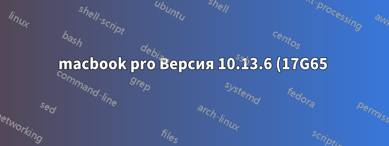 macbook pro Версия 10.13.6 (17G65)