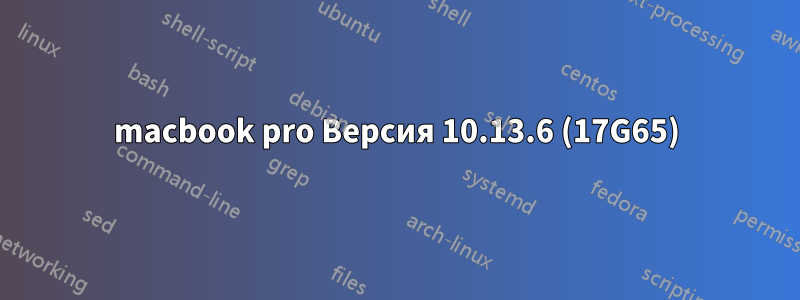 macbook pro Версия 10.13.6 (17G65)