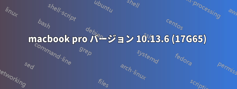 macbook pro バージョン 10.13.6 (17G65)