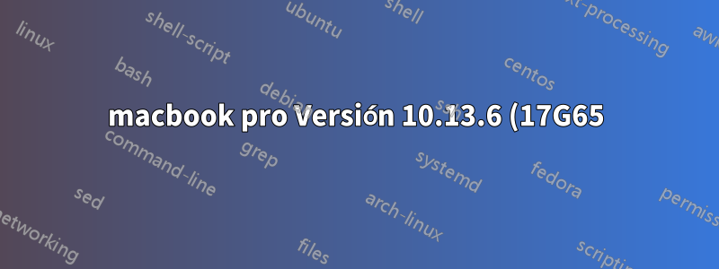 macbook pro Versión 10.13.6 (17G65)