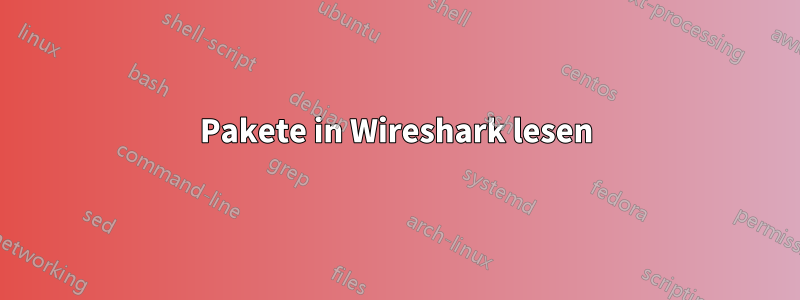 Pakete in Wireshark lesen