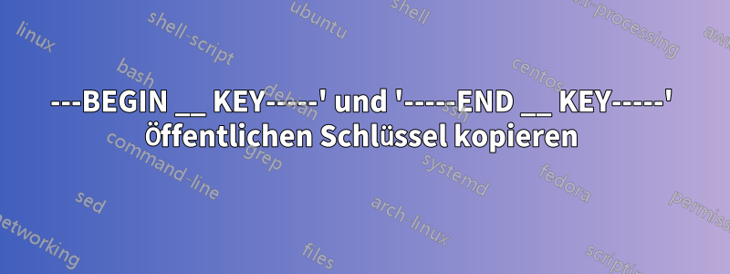 ---BEGIN __ KEY-----' und '-----END __ KEY-----' Öffentlichen Schlüssel kopieren