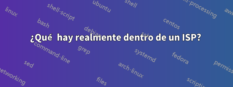 ¿Qué hay realmente dentro de un ISP?