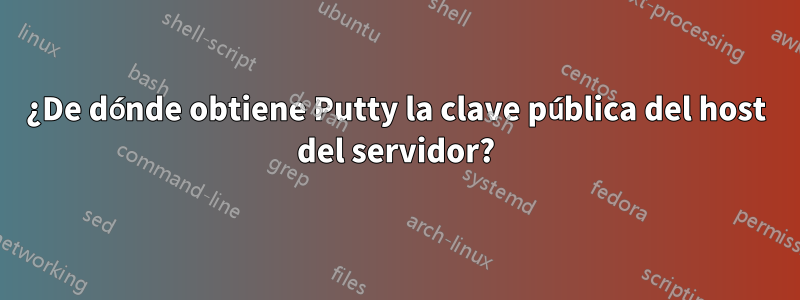 ¿De dónde obtiene Putty la clave pública del host del servidor?