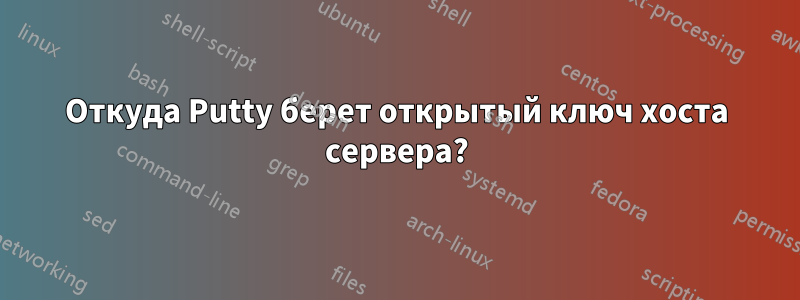 Откуда Putty берет открытый ключ хоста сервера?