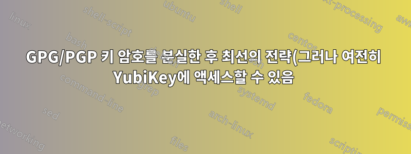 GPG/PGP 키 암호를 분실한 후 최선의 전략(그러나 여전히 YubiKey에 액세스할 수 있음)