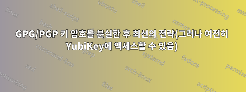 GPG/PGP 키 암호를 분실한 후 최선의 전략(그러나 여전히 YubiKey에 액세스할 수 있음)