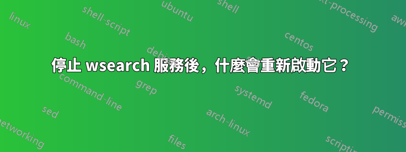 停止 wsearch 服務後，什麼會重新啟動它？