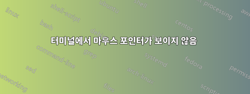 터미널에서 마우스 포인터가 보이지 않음