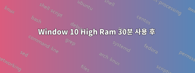 Window 10 High Ram 30분 사용 후