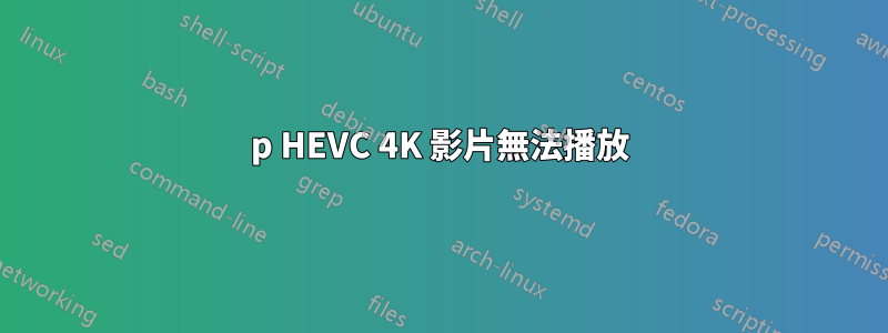 2160p HEVC 4K 影片無法播放