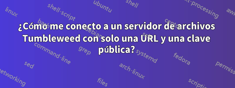 ¿Cómo me conecto a un servidor de archivos Tumbleweed con solo una URL y una clave pública?