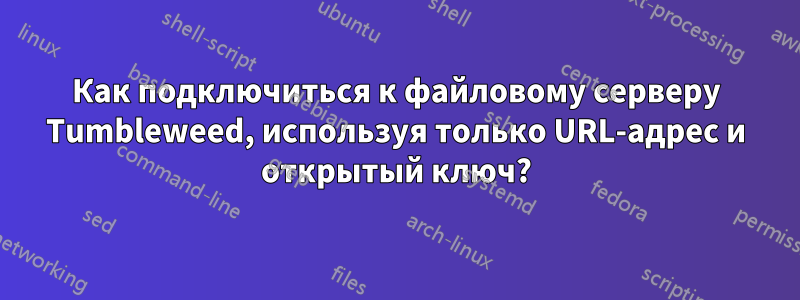 Как подключиться к файловому серверу Tumbleweed, используя только URL-адрес и открытый ключ?