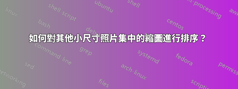 如何對其他小尺寸照片集中的縮圖進行排序？