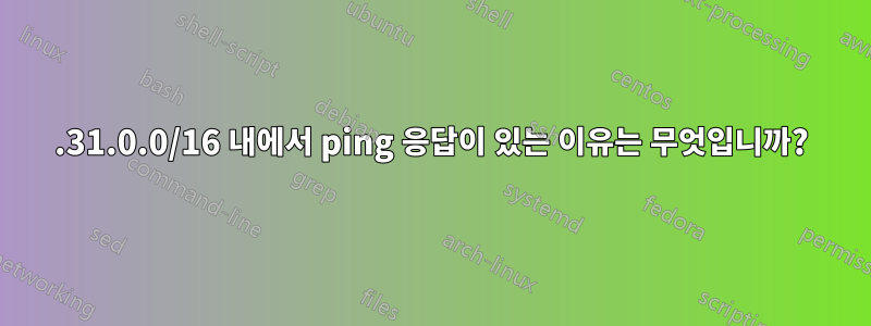 172.31.0.0/16 내에서 ping 응답이 있는 이유는 무엇입니까?