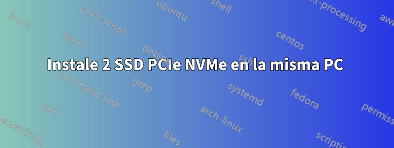 Instale 2 SSD PCIe NVMe en la misma PC