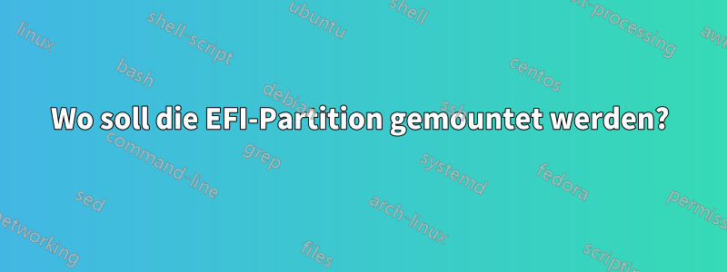 Wo soll die EFI-Partition gemountet werden?