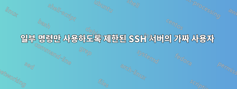 일부 명령만 사용하도록 제한된 SSH 서버의 가짜 사용자