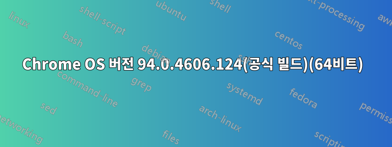 Chrome OS 버전 94.0.4606.124(공식 빌드)(64비트) 