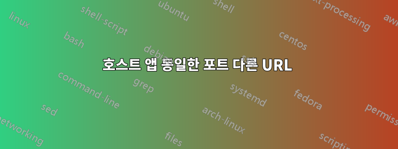 호스트 앱 동일한 포트 다른 URL
