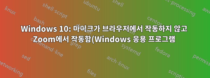 Windows 10: 마이크가 브라우저에서 작동하지 않고 Zoom에서 작동함(Windows 응용 프로그램)