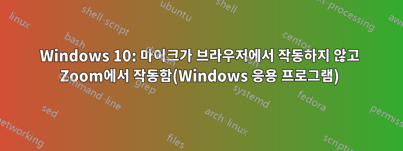 Windows 10: 마이크가 브라우저에서 작동하지 않고 Zoom에서 작동함(Windows 응용 프로그램)