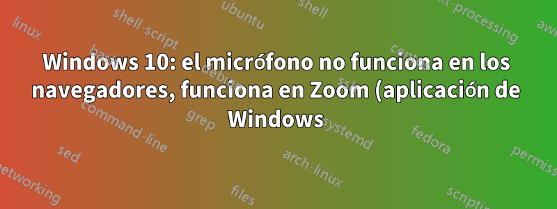Windows 10: el micrófono no funciona en los navegadores, funciona en Zoom (aplicación de Windows)